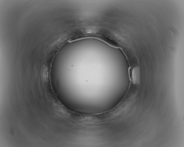 X0000113861443200910081656