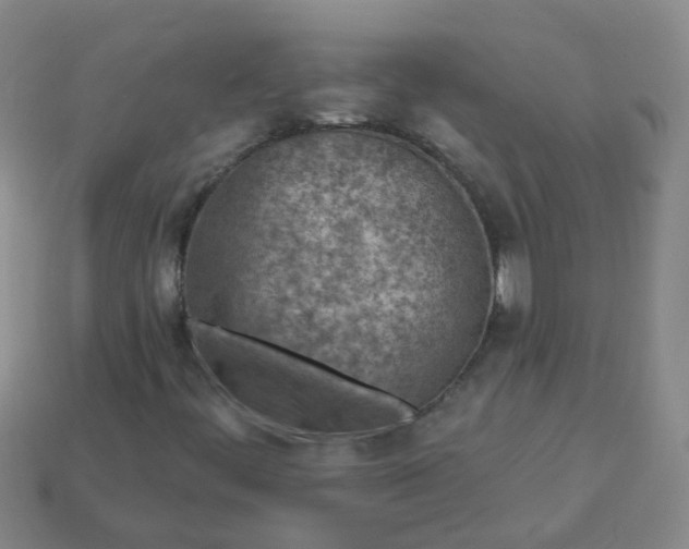 X0000113861444200910081656