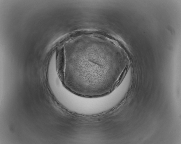 X0000113861448200910081656