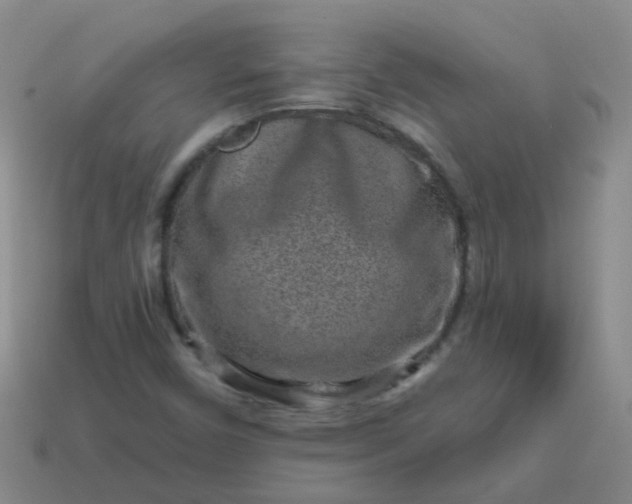 X0000113861450200910081656