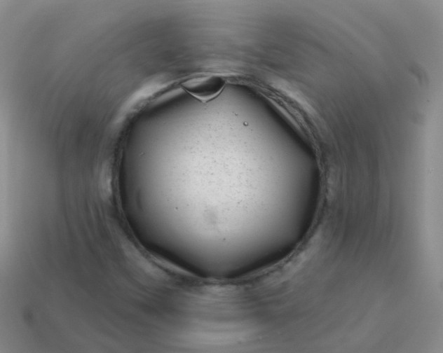 X0000113861451200910081656