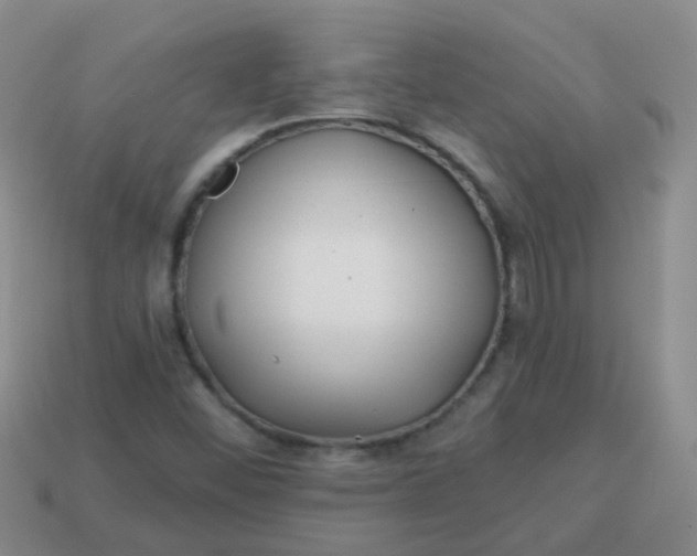 X0000113861452200910081656