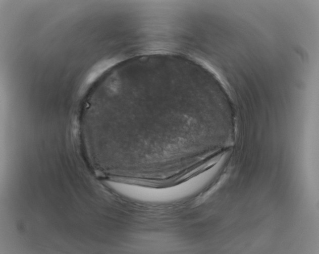 X0000113861453200910081656