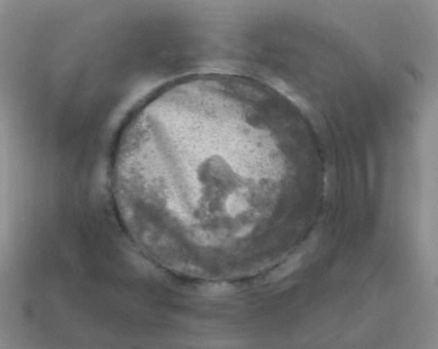 X0000113861454200910081656