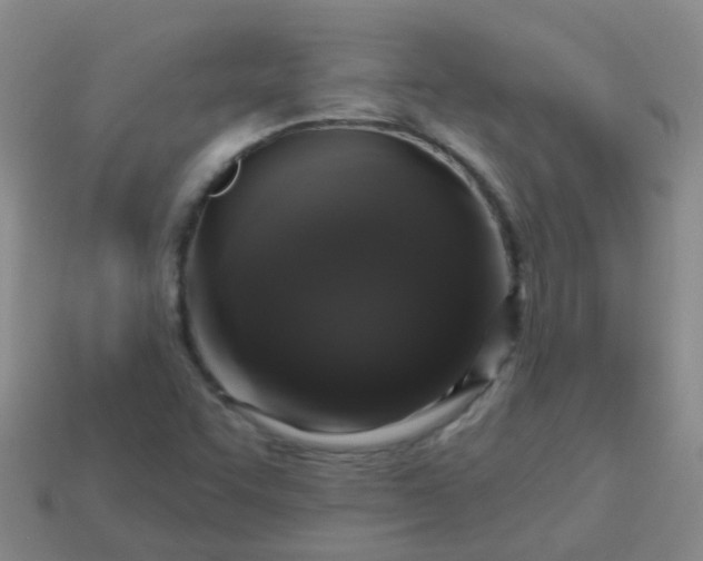 X0000113861455200910081656