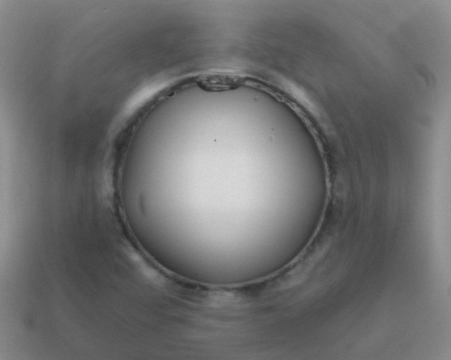 X0000113861456200910081656