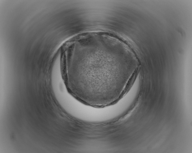 X0000113861457200910081656