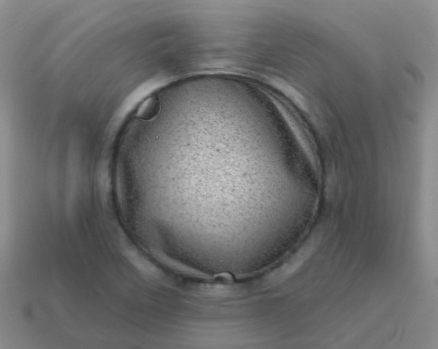X0000113861458200910081656