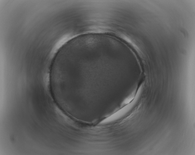 X0000113861459200910081656