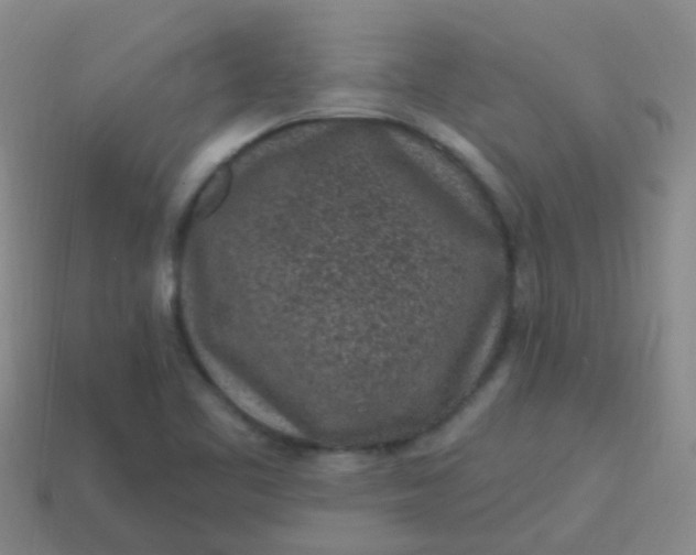X0000113861461200910081656