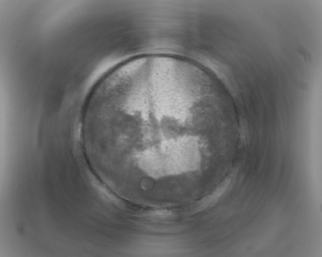 X0000113861462200910081656