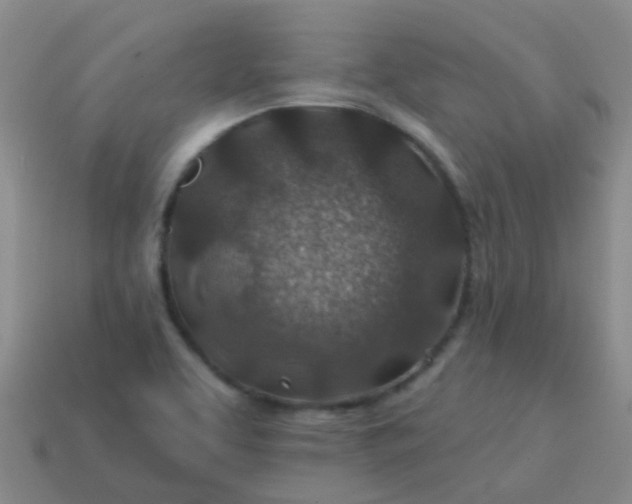 X0000113861463200910081656