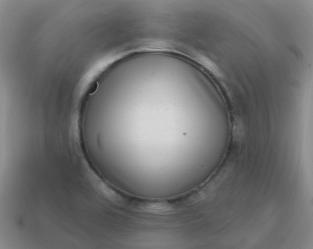 X0000113861464200910081656