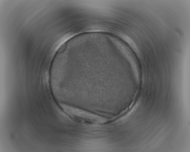 X0000113861465200910081656