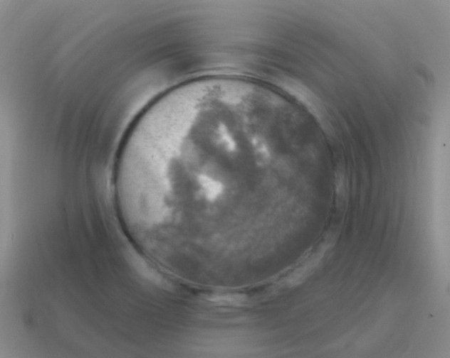 X0000113861466200910081656