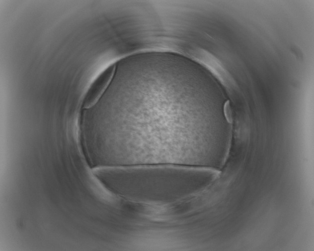 X0000113861468200910081656