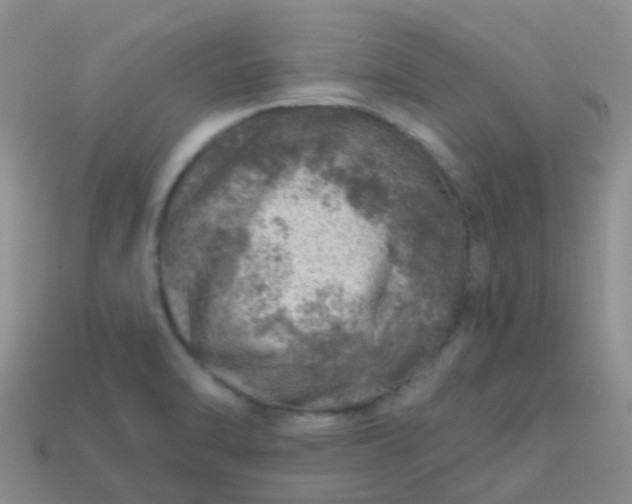 X0000113861470200910081656