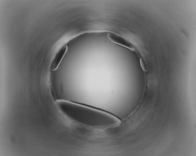 X0000113861472200910081656
