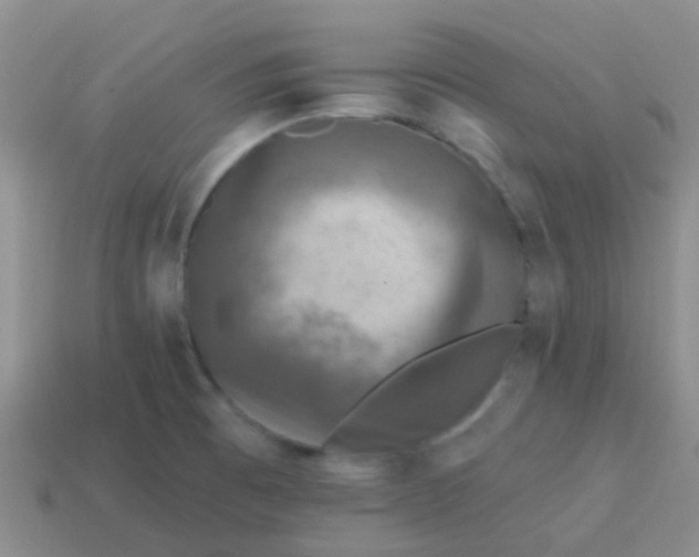 X0000113861473200910081656