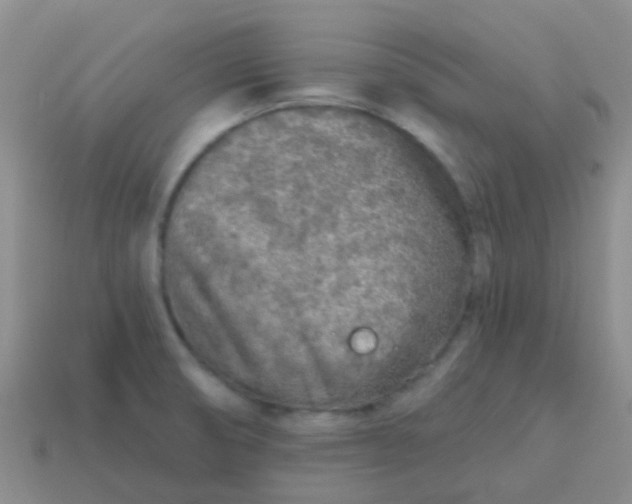 X0000113861474200910081656