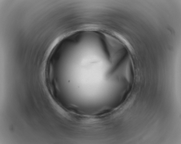 X0000113861475200910081656