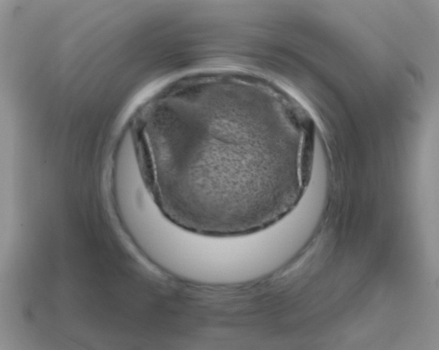 X0000113861477200910081656