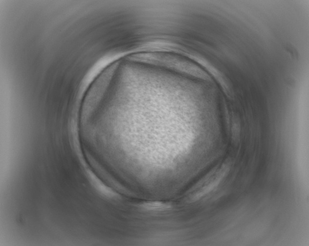 X0000113861478200910081656