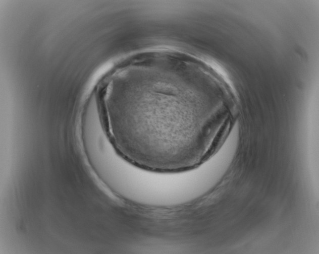 X0000113861480200910081656