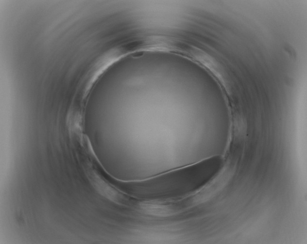 X0000113861481200910081656