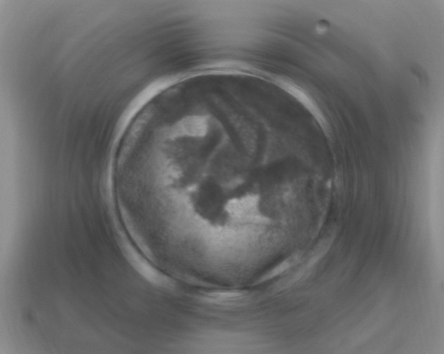 X0000113861482200910081656