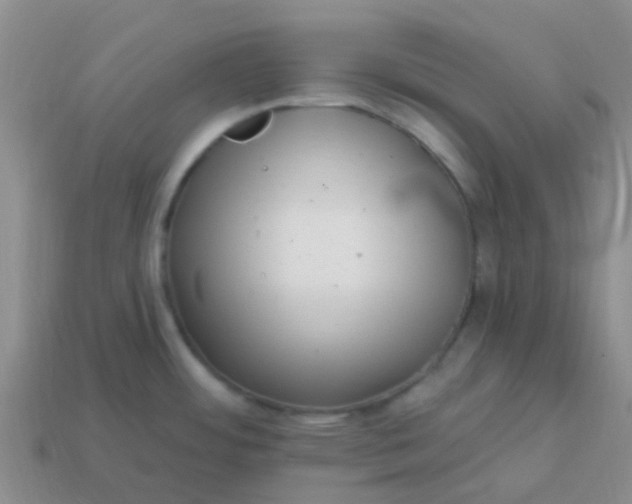 X0000113861484200910081656