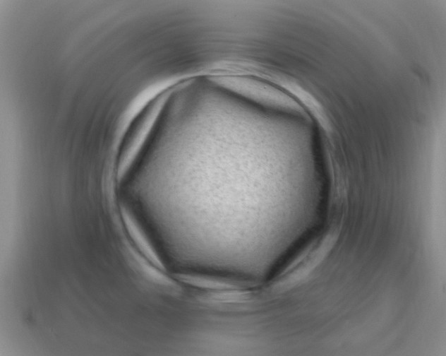 X0000113861486200910081656