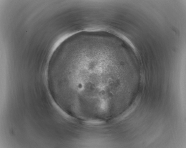 X0000113861487200910081656