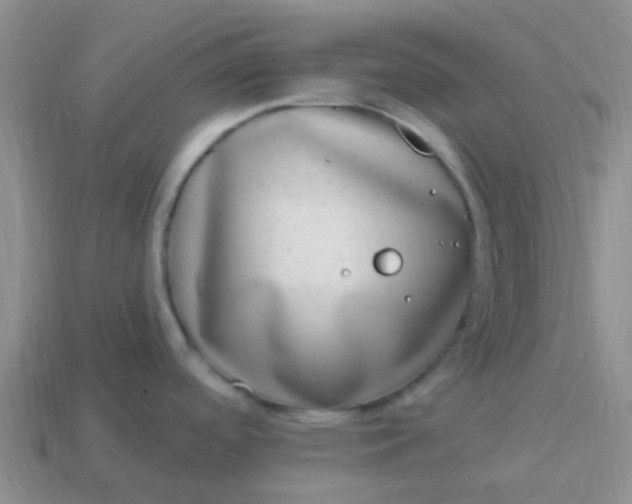 X0000113861488200910081656