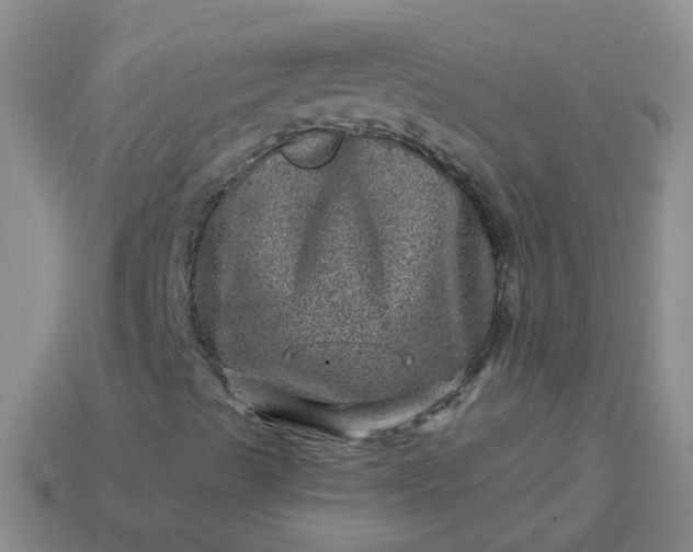 X0000113861489200910081655