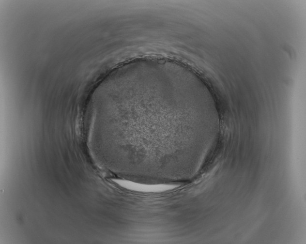 X0000113861490200910081655