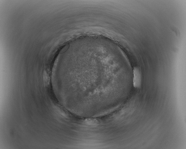 X0000113861491200910081655