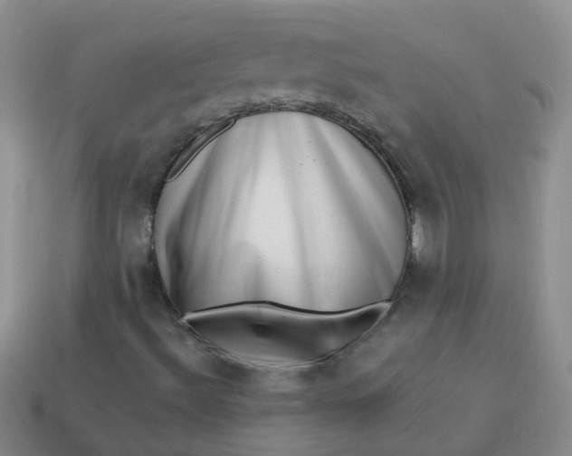 X0000113861492200910081655