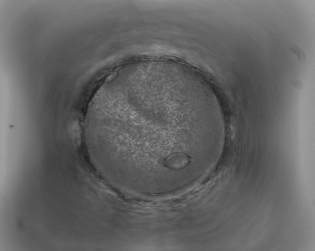 X0000113861493200910081655