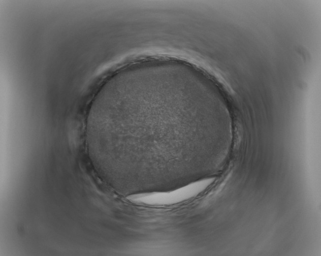 X0000113861494200910081655