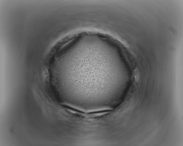 X0000113861495200910081655