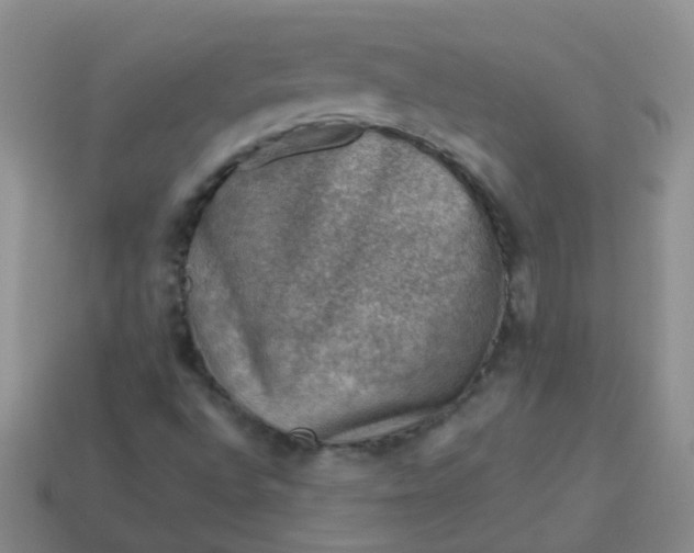 X0000113861496200910081655