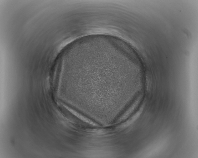 X0000113861497200910081655