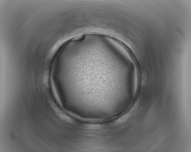 X0000113861499200910081655
