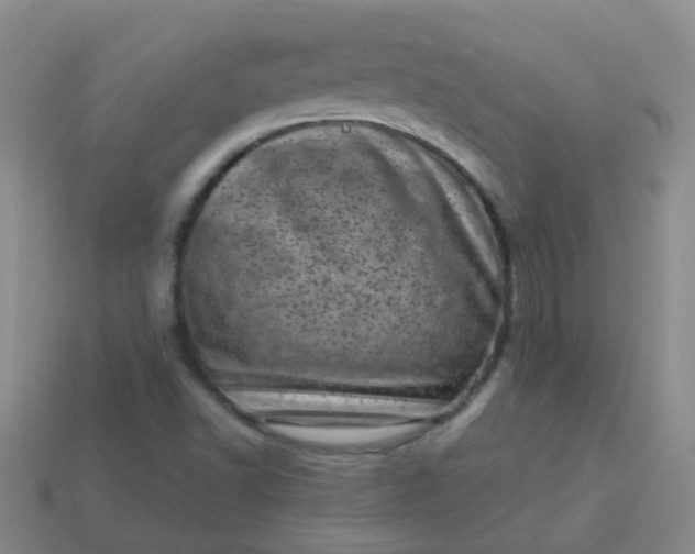 X0000113861502200910081655