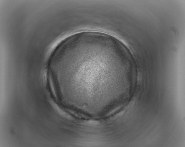 X0000113861503200910081655