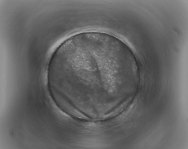 X0000113861504200910081655
