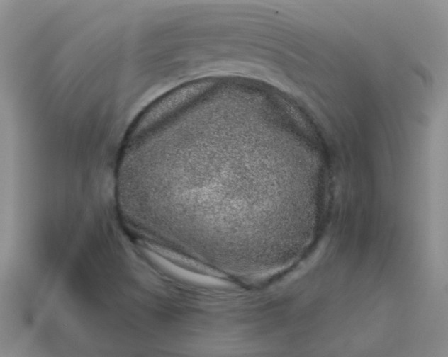 X0000113861505200910081655