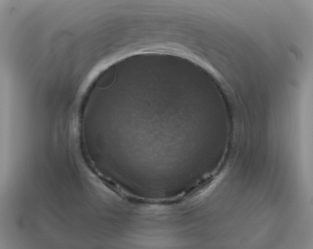X0000113861506200910081655