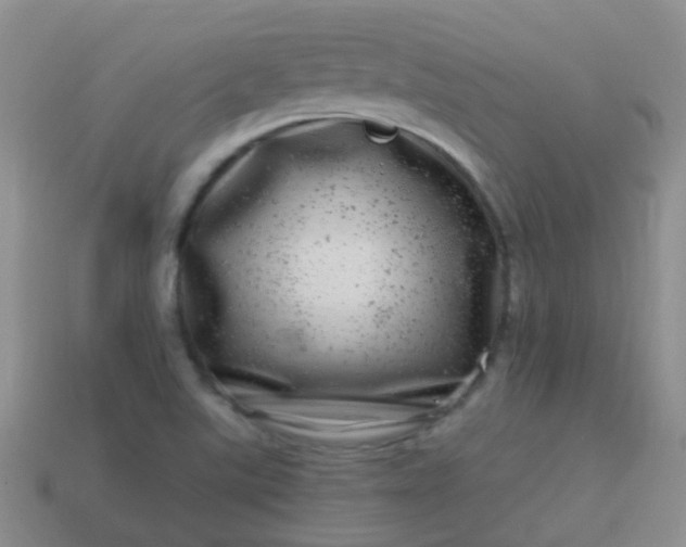 X0000113861507200910081655